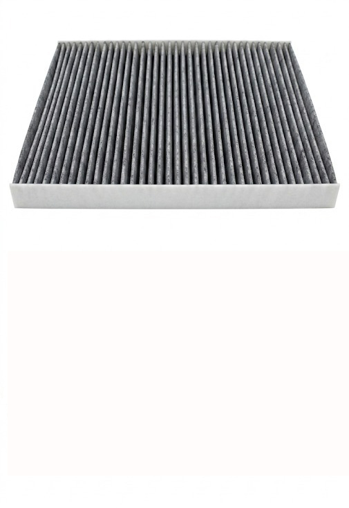 Carbon Type 1- With Sides